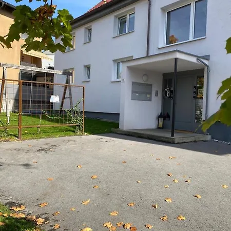 Beeindruckende Im Rheintal *